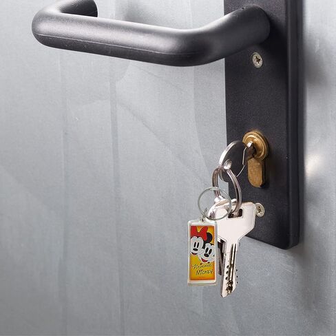 Small Disney Souvenir Keychain Gifts, Mickey and Minnie Mouse Faces with Signatures and Orange Background, Key Ring Accessories for Purses, and Car Keys, 4.25 Inches in Kuwait