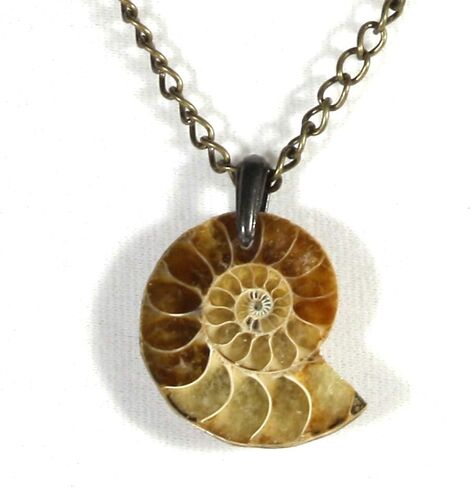 قلادة أحفوري أصلية من أمونيتي بتصميم ARThouse أحفوري من Ammonite مقاس 45.72 سم قابل للتعديل in Kuwait