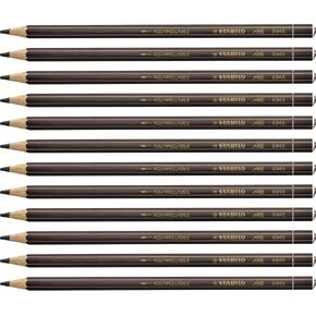 Stabilo 8052 All Coloured Pencil Crayons for Almost All Surfaces, 3.3 mm, White, Pack of 12