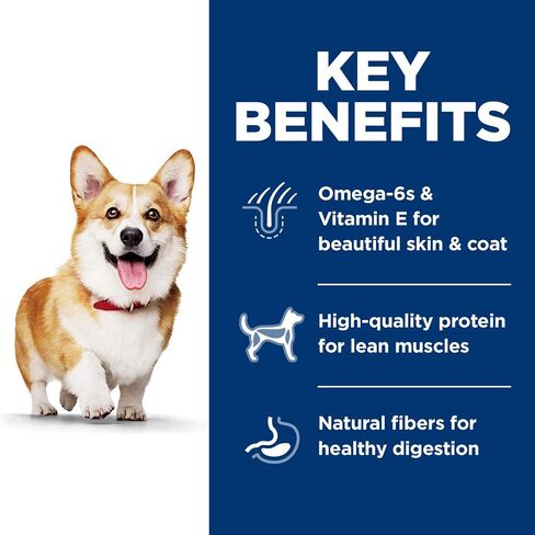 Hill's Science Diet Adult 1-6, Adult 1-6 Premium Nutrition, Small Kibble, Dry Dog Food, Chicken & Barley, 45 lb Bag in Kuwait