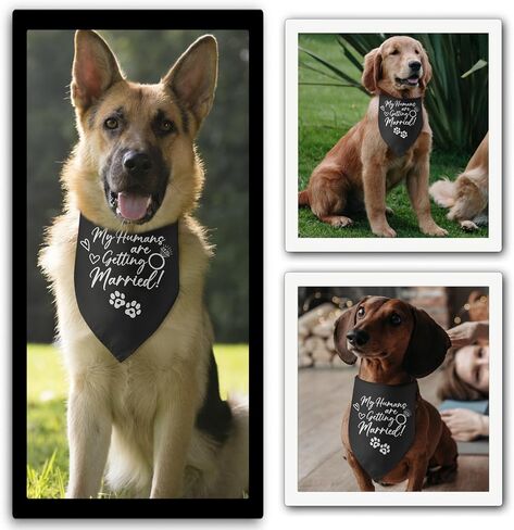 My Parents are Getting Married Dog Bandana Engagement Gifts for Couples Dog Wedding Engagement Bandana Announcement Photo Prop Pet Scarf Accessories for Pet Dog Lovers Gifts in Saudi Arabia
