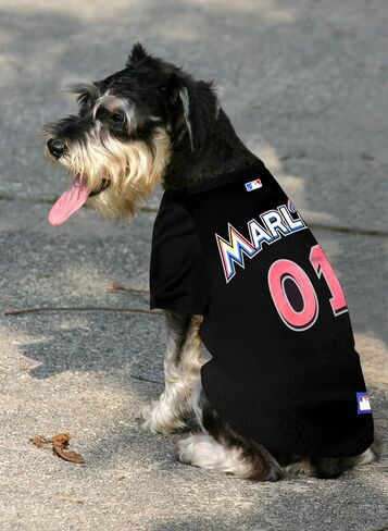 Pets First MLB Pittsburgh Pirates Dog Jersey, Medium. - Pro Team Color Baseball Outfit in Saudi Arabia