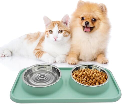 Double Dog Food Bowls Stainless Steel with No Spill Non Skid Silicone Mat Removable Dog Water and Food Bowls Set Durable Feeding Bowls for Small Dogs Puppy Cat Kitten(Green) in Saudi Arabia