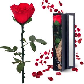 Preserved Flowers Gifts for Women Mom: Black Roses for Christmas Anniversary Mother's Day Wedding Gift for Girlfriend Wife Grandma