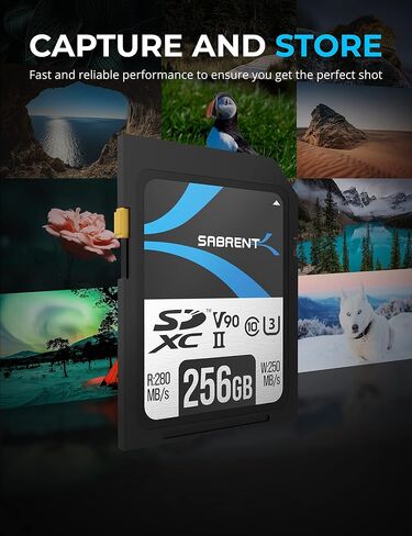 بطاقة ذاكرة SABRENT Rocket v90 سعة 256 جيجابايت SD UHS-II بسرعة 280 ميجابايت/ثانية وسرعة 250 ميجابايت/ثانية (SD-TL90-256GB) in Saudi Arabia