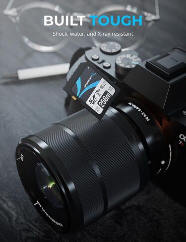 بطاقة ذاكرة SABRENT Rocket v90 سعة 256 جيجابايت SD UHS-II بسرعة 280 ميجابايت/ثانية وسرعة 250 ميجابايت/ثانية (SD-TL90-256GB) in Saudi Arabia