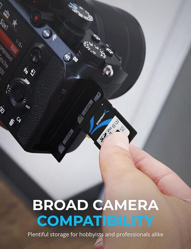 بطاقة ذاكرة SABRENT Rocket v90 سعة 256 جيجابايت SD UHS-II بسرعة 280 ميجابايت/ثانية وسرعة 250 ميجابايت/ثانية (SD-TL90-256GB) in Saudi Arabia