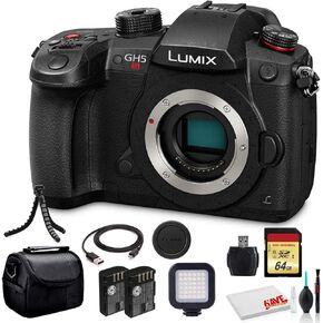 Panasonic Lumix DC-GH5S Mirrorless Digital Camera (DC-GH5S) - Bundle - with Sony 64GB Tough SD Card + LED Video Light + DMW-BLF19 Battery + Soft Bag + 12 Inch Flexible Tripod + Cleaning Set + More
