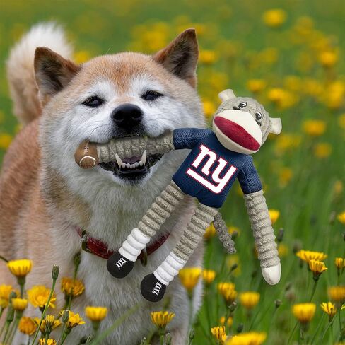 Littlearth Unisex-Adult NFL Los Angeles Rams Sock Monkey and Flying Disc Pet Toy Combo Set, Team Color, One Size in Saudi Arabia
