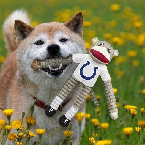 Littlearth Unisex-Adult NFL Los Angeles Rams Sock Monkey and Flying Disc Pet Toy Combo Set, Team Color, One Size in Kuwait