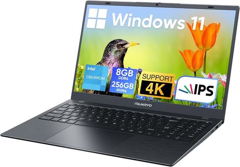 Win11 Laptop, 8GB RAM/256GB NVMe SSD, 15.6 inch 1920x1080 IPS Display, Intel N5095 Quad Core Processor Notebook Computer, Support 2.4G/5G Hz WiFi, BT, Type-c PD 3.0 Charging in Saudi Arabia