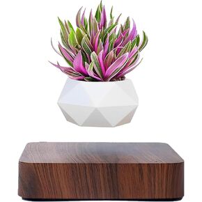 Levitating Air Bonsai Pot, Rotation Flower Pot Planters, Magnetic Levitation Suspension Floating Pot, Potted Plant Home Desk Decor in Flower Pots & Planters from Home & Garden on (Dark color) in Saudi Arabia