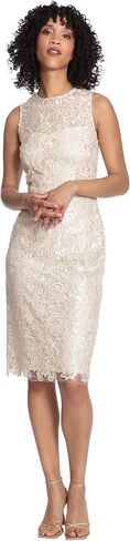 Maggy London Women's Sleeveless Lace Dress in Saudi Arabia