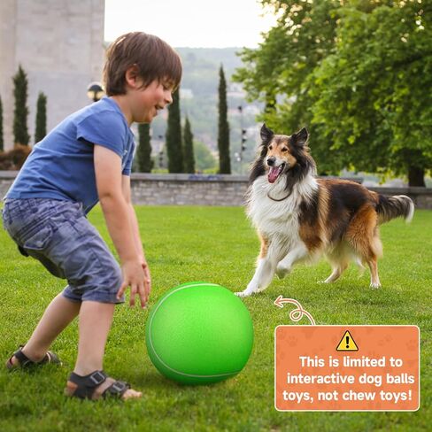 QDAN Giant Large Tennis Ball for Dogs: 9.5" Premium Balls for Dog for Outdoor Play Chasing, Big Tennis Ball Dogs Toy, Tennis Ball for Small Medium Large Dogs, Pet Ball Birthday, Yellow in Saudi Arabia