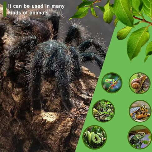 Critter Keeper Ant Farm Cane Toad Trap Little Live Pets Bug Catcher Kit for Kids Frog Habitat Turtle Tank Reptile Terrariums Lizard Cage Fish Bowl Beach Aquarium Catch and Release in Saudi Arabia