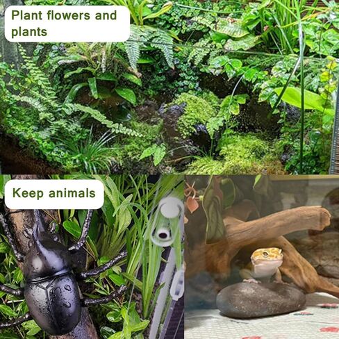 Critter Keeper Ant Farm Cane Toad Trap Little Live Pets Bug Catcher Kit for Kids Frog Habitat Turtle Tank Reptile Terrariums Lizard Cage Fish Bowl Beach Aquarium Catch and Release in Saudi Arabia