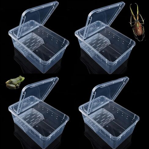 Critter Keeper Ant Farm Cane Toad Trap Little Live Pets Bug Catcher Kit for Kids Frog Habitat Turtle Tank Reptile Terrariums Lizard Cage Fish Bowl Beach Aquarium Catch and Release in Saudi Arabia