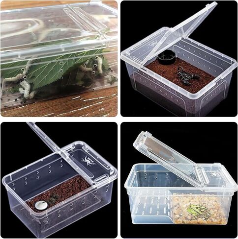 Critter Keeper Ant Farm Cane Toad Trap Little Live Pets Bug Catcher Kit for Kids Frog Habitat Turtle Tank Reptile Terrariums Lizard Cage Fish Bowl Beach Aquarium Catch and Release in Saudi Arabia