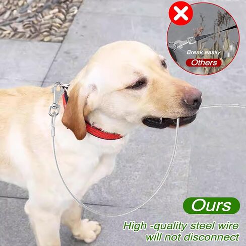 2 Pack Chew Proof Dog Leashes Extension Heavy Duty Dog Leash Extender, Metal Non-Tangle Connect Leash for Any Leash & Collar & Harness (Red+Clear) in Saudi Arabia