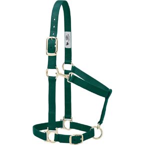 Weaver Leather Nylon Horse Halter, Padded and Adjustable, Chin and Throat Snap Hook Halters for Horses, Brass Plated Halters for Training