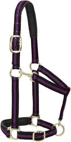 Weaver Leather Nylon Horse Halter, Padded and Adjustable, Chin and Throat Snap Hook Halters for Horses, Brass Plated Halters for Training in Kuwait