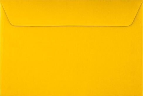LUXPaper 6 x 9 Booklet Envelopes | Smoke Gray | 80lb. Text | 50 Qty in Saudi Arabia