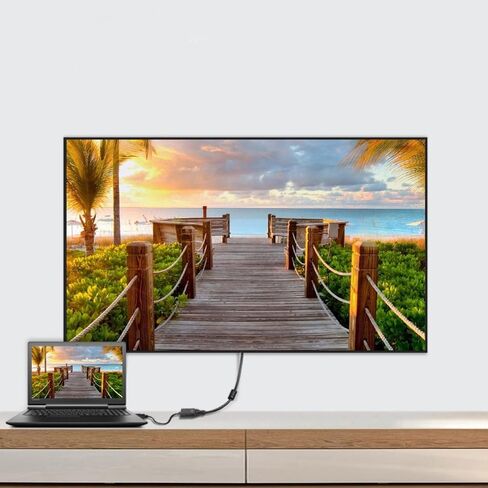RIIPOO DisplayPort إلى VGA، محول DP إلى VGA أحادي الاتجاه ذكر إلى أنثى متوافق مع Dell وHP وASUS وLenovo للشاشة وجهاز العرض والتلفزيون عالي الدقة والمزيد in Saudi Arabia