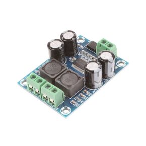NOYITO Mini TPA3118 Digital Audio Amplifier Board Class D Mono 60W DC8-24V Power Supply