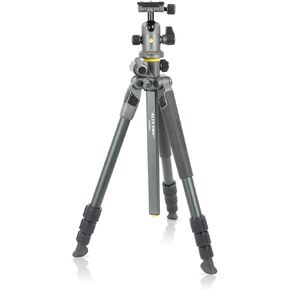 Vanguard ALTA PRO 2+ 264AB 4-Section Aluminum Tripod with BH-100 Ball Head, Gray