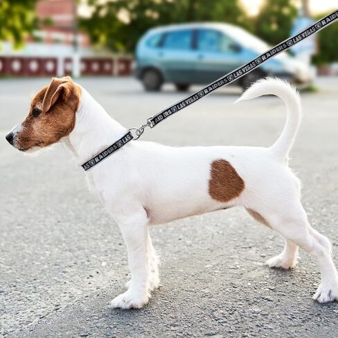 New & Improved NFL Pet Leash, Medium, Arizona Cardinals Dog Leash, Football Team Leash for Dogs & Cats. A Shiny & Colorful Dog & Cat Leash with Embroidered Team Name/Logo Licensed by The NFL in Saudi Arabia