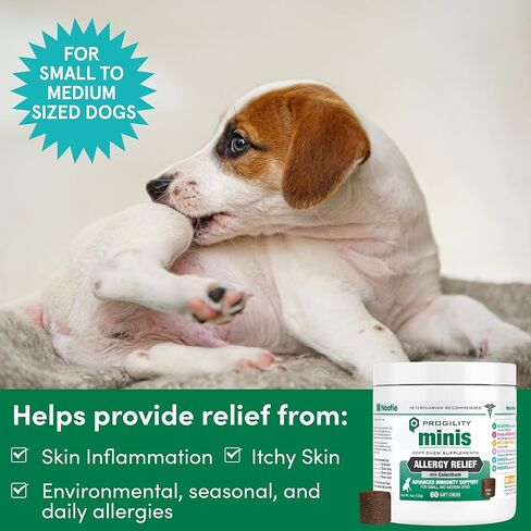 Nootie Progility Allergy Relief Supplement, Itch Relief Supplement for Dogs, 90 Soft Chews per Container in Kuwait