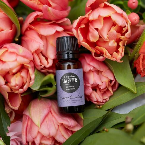 Edens Garden Mandarin - زيت عطري أحمر، نقي 100% من الدرجة العلاجية (زيت عطري معطر طبيعي/مثلي غير مخفف) 30 مل in Saudi Arabia