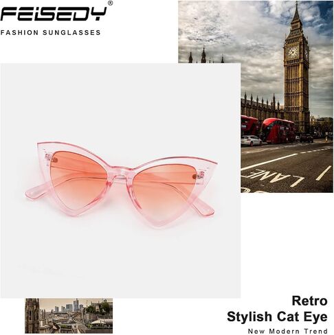 FEISEDY Retro Cat Eye Sunglasses for Women Fashion Vintage Cateye Sun Glasses B2235 in Saudi Arabia