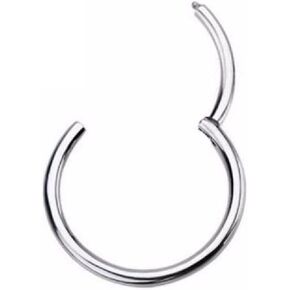 Pierced Owl - 16GA G23 Titanium Septum Cartilage Lip Hinged Segment Ring