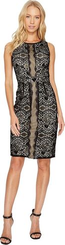Adrianna Papell Women's Petite Scalloped Sheath Dress with Velvet Lace in Saudi Arabia