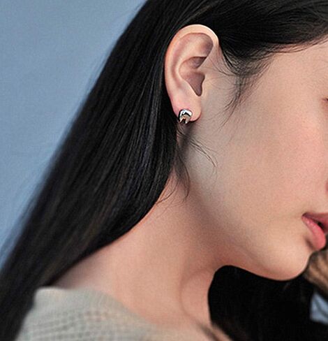 2 Pairs Cute Tooth Stud Earrings for Women Men Fashion Funny Tiny Crystal Tooth Earrings Set Jewelry for Gift Dental Student Dentist Dental Assistant Gift in Saudi Arabia