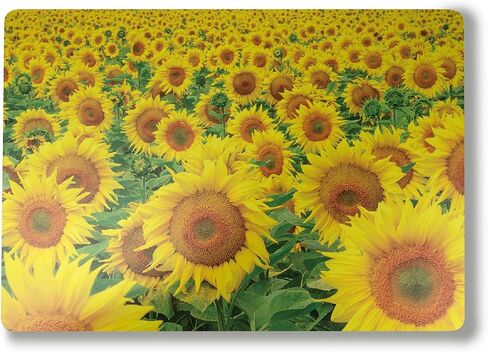Glossy Glitter Laptop Skin Compatible with Surface Laptop 7 15" (2024) - Yellow Poppy - Premium 3M Vinyl Protective Wrap Decal Cover - Easy to Apply | Crafted in The USA by MightySkins in Saudi Arabia