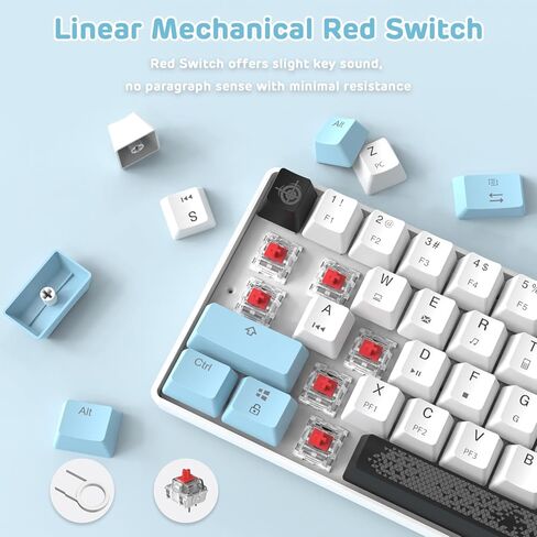 MANBASNAKE MK14 60% Mechanical Gaming Keyboard, Compact 68 Keys Mini Wired Office Keyboard, Anti-ghosting Mechanical Red Switches RGB Gaming Keyboard for Laptop/PC Gamer in Saudi Arabia