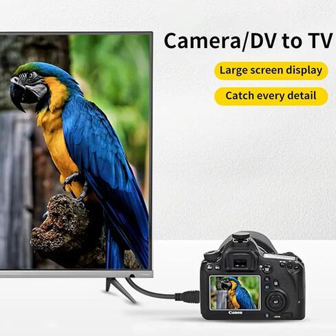 كابل HDMI صغير إلى HDMI بطول 3 أقدام و1 متر، كابل HDMI عالي السرعة إلى Mini HDMI للشاشة المحمولة 4K 60 هرتز سلك HDMI 2.0، متوافق مع الشاشة والكاميرا وكاميرا الفيديو والكمبيوتر اللوحي والكمبيوتر المحمول وRaspberry Pi Zero W in Saudi Arabia
