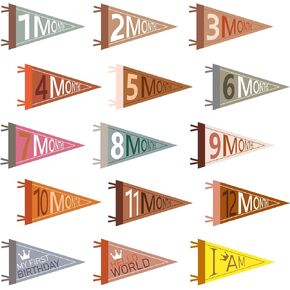 15 Pcs Baby Monthly Milestone, Monthly Milestone Pennants for Newborn Boy or Girl Felt Milestone Banner Flags Milestone Flag Signs for Baby Showers Newborn Moms Gift