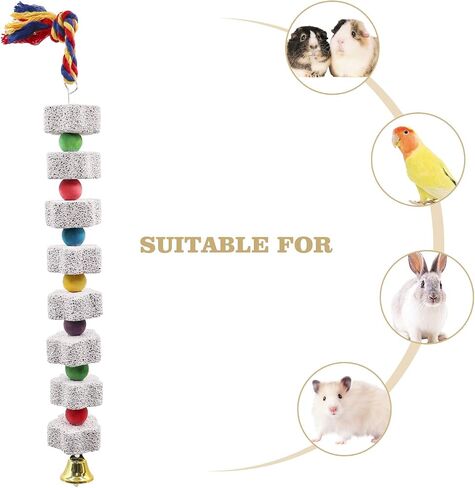 2 Pack Large Chicken Chewing Toy, Chick Beak Grinding Calcium Stone with Bells, Chicken Cage Accessories, Cage Toys for Cockatiel Parakeet Parrot Budgies Rat Hamster Rabbit Bunny African Grey in Saudi Arabia