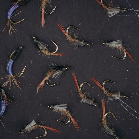 صندوق الطيران الرغوي UMPQUA UPG لعطلة نهاية الأسبوع - حقيبة تخزين الذبابة خفيفة الوزن وخفيفة الوزن ومقاومة للصدمات وسريعة التحميل - منظم أدوات صيد الأسماك، صغير - زيتوني in Kuwait