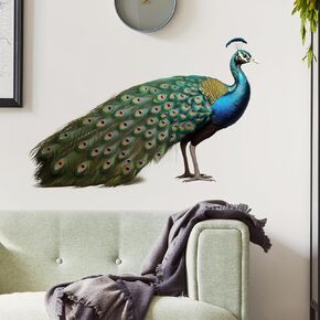 Lifelike Standing Peacock Bird Wall Decal Nursery Animal Wall Sticker Removable Peel and Stick Wall Art Decor for Kid Baby Classroom Preschool Living Room Playroom Bedroom School