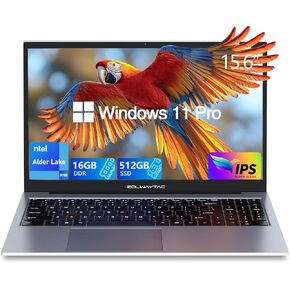 Business Laptop,Laptop Computer,Laptop 16GB RAM 512GB SSD,N100 Laptop(4C/4T,Up to 3.4GHz,12th Gen),Aluminum Body,15.6" FHD Display,Supports WiFi/BT,Backlit Keyboard,Supports Type C Charging,SpaceGray
