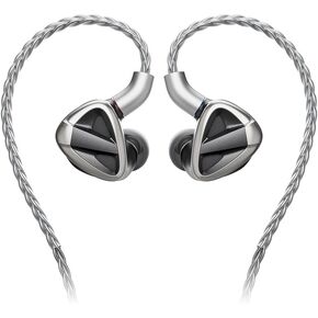 FiiO FH19 HiFi IEM Earphone| 2 Dynamic+ 6 BA Hybrid Driver IEM, Detachable MMCX Headphone Cable for Musician Audiophile