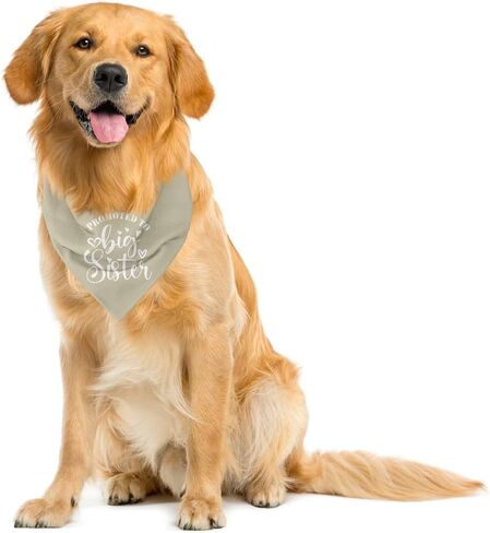 Big Sister Bandana for Dog, Dog Bandana Pregnancy Announcement, Red Dog Bandana, Dog Scarf, Dog Pregnancy Announcement, Dog Bandana for Small Medium Large Dogs (A84) in Saudi Arabia