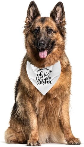 Big Sister Bandana for Dog, Dog Bandana Pregnancy Announcement, Red Dog Bandana, Dog Scarf, Dog Pregnancy Announcement, Dog Bandana for Small Medium Large Dogs (A84) in Saudi Arabia