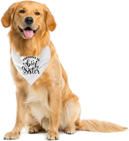 Big Sister Bandana for Dog, Dog Bandana Pregnancy Announcement, Red Dog Bandana, Dog Scarf, Dog Pregnancy Announcement, Dog Bandana for Small Medium Large Dogs (A84) in Saudi Arabia