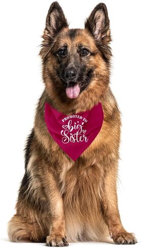 Big Sister Bandana for Dog, Dog Bandana Pregnancy Announcement, Red Dog Bandana, Dog Scarf, Dog Pregnancy Announcement, Dog Bandana for Small Medium Large Dogs (A84) in Saudi Arabia