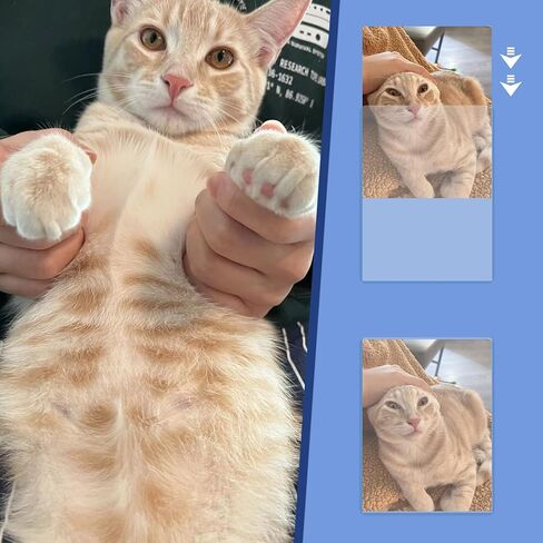 Rainmae 6 Pack 8.5" x 11" Rigid Print Protectors, Clear Waterproof Hard Plastic Page Sheet Protectors, Paper Sleeves Photo Plastic Sleeves Hard Plastic Document Holder Birth Certificate Protector in Kuwait